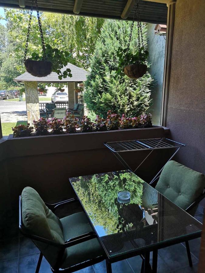 Villa I Spa Stevic Veliko Gradiste Luaran gambar