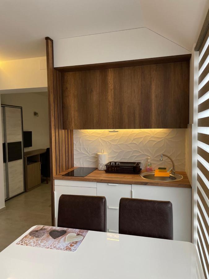 Villa I Spa Stevic Veliko Gradiste Luaran gambar