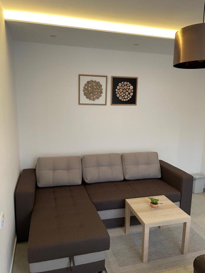 Villa I Spa Stevic Veliko Gradiste Luaran gambar