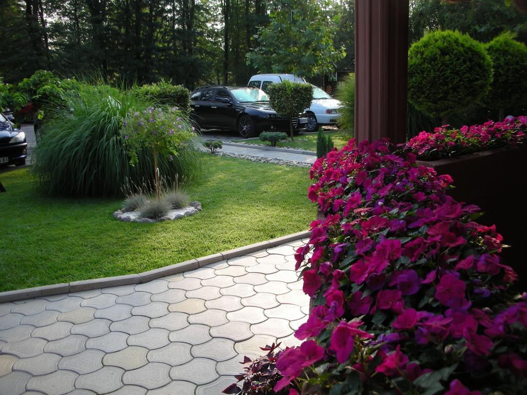 Villa I Spa Stevic Veliko Gradiste Luaran gambar