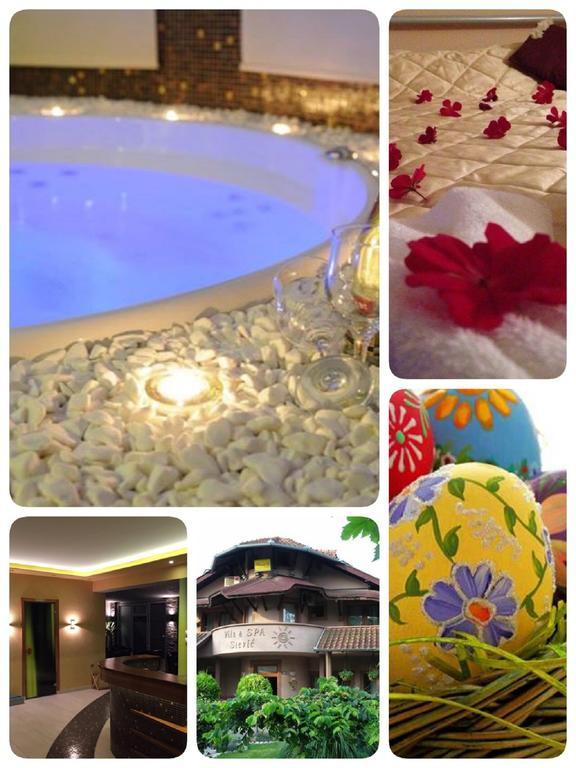 Villa I Spa Stevic Veliko Gradiste Luaran gambar