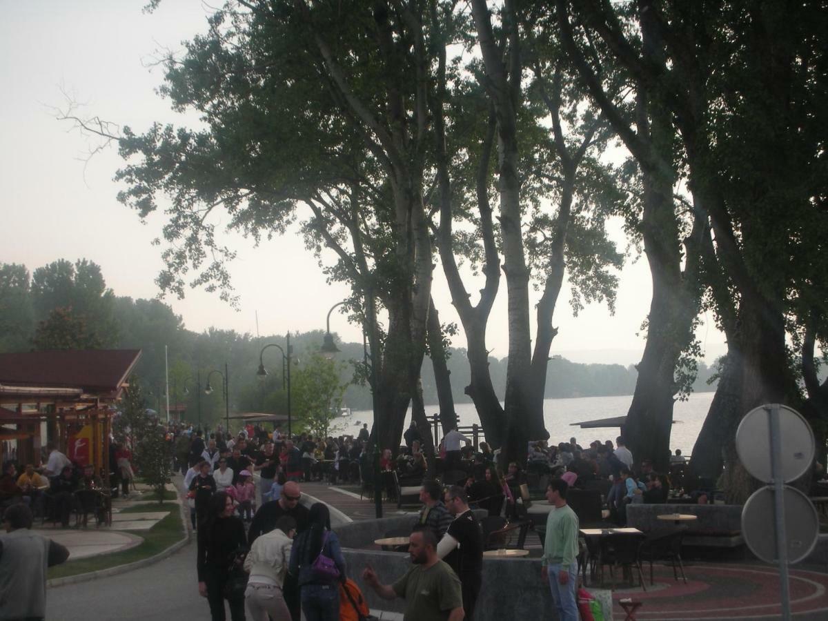 Villa I Spa Stevic Veliko Gradiste Luaran gambar